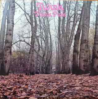 Twink - Think Pink (1970) - New Lp Record Store Day 2019 Sunbeam UK Import RSD Limited 180 gram Pink Vinyl, Booklet & Inserts - Psychedelic Rock / Prog Rock