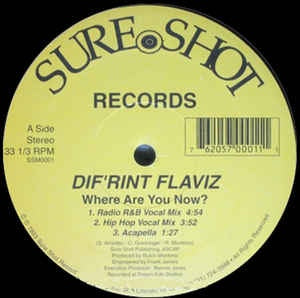Dif'rint Flaviz ‎– Where Are You Now Mint- – 12" Single 1993 Sure Shot USA - Hip Hop