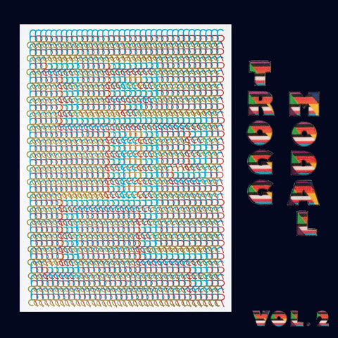 Eric Copeland (Black Dice) - Trogg Modal Vol. 2 - New Lp 2019 DFA Pressing - EDM / Noise