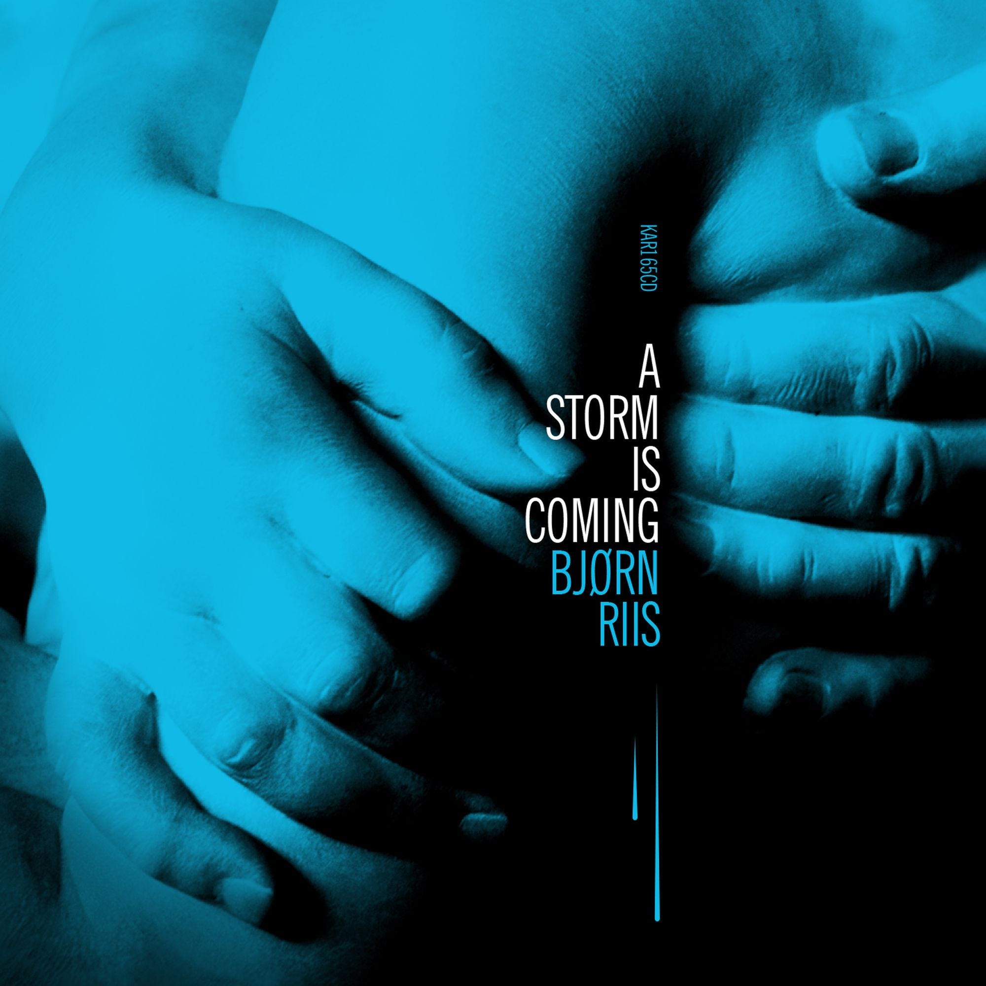 Bjørn Riis - A Storm Is Coming - New Vinyl LP Record 2019 - Prog Rock