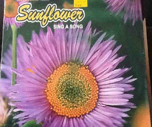 Nicoromano Pres. Sunflower - Sing A Song - VG+ 12" Single Italy Import 1999 - Italo House