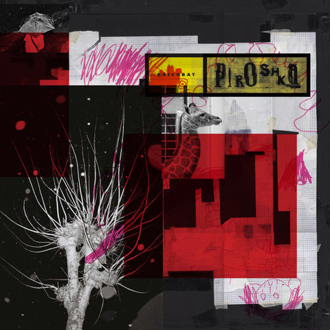 Piroshka ‎– Brickbat - New LP Record 2019 USA Indie Exclusive 180 gram Pink Vinyl - Rock / Pop