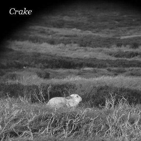 Crake - Enough Salt (For All Dogs) b/w Gef - New 7" Single 2020 Saddle Creek Vinyl - Alternative Folk