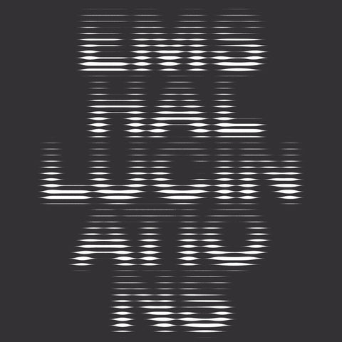 Brett Naucke - EMS Hallucinations - New LP Record 2020 American Dreams Vinyl - Chicago Experimental Electronic