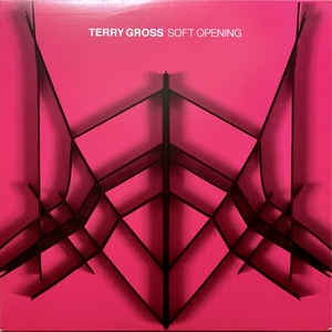 Terry Gross ‎– Soft Opening - New LP Record 2021 Thrill Jockey Translucent Pink Vinyl - Space Rock / Krautrock