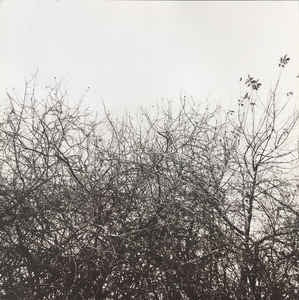 Simon Joyner ‎– Lost With The Lights On - Mint- Lp Record 2004 USA Jagjaguwar Original Vinyl - Folk - Shuga Records