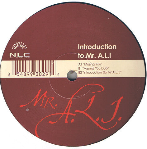 Mr. A.L.I. ‎– Introduction To Mr A.L.I. - New 2x12" Single 2001 USA Nite Life Collective Vinyl - Chicago House