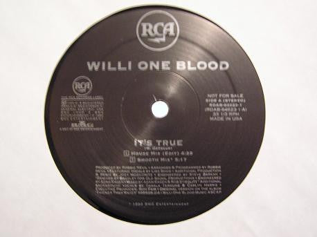 Willi One Blood ‎– It's True - Mint- 12" Single Record 1996 USA Promo Vinyl - House / Ragga HipHop