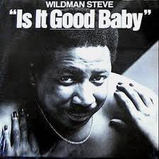 Wildman Steve - Is It Good Baby - VG+ 1980 Stereo USA - Comedy