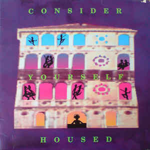 Various ‎– Consider Yourself Housed VG+ 12" Single 1989 Great Jones USA - House / Garage House