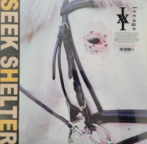 Iceage ‎– Seek Shelter - New LP Record 2021 Mexican Summer USA Translucent Orange Vinyl & Download - Punk / Post-Punk / Hardcore