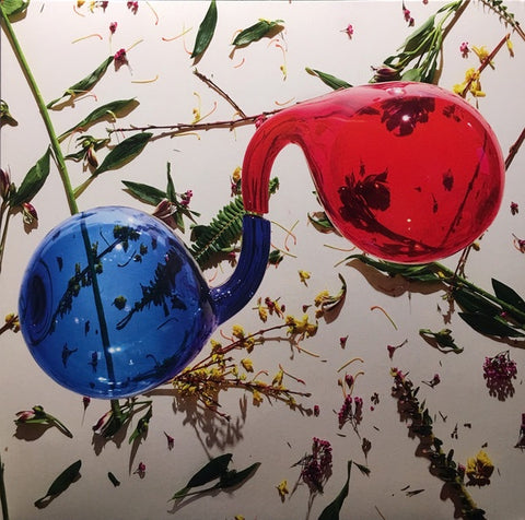 Dirty Projectors ‎– Lamp Lit Prose - New Vinyl Lp 2018 Domino Pressing with Gatefold Jacket and Download - Alt-Rock / Synth Pop