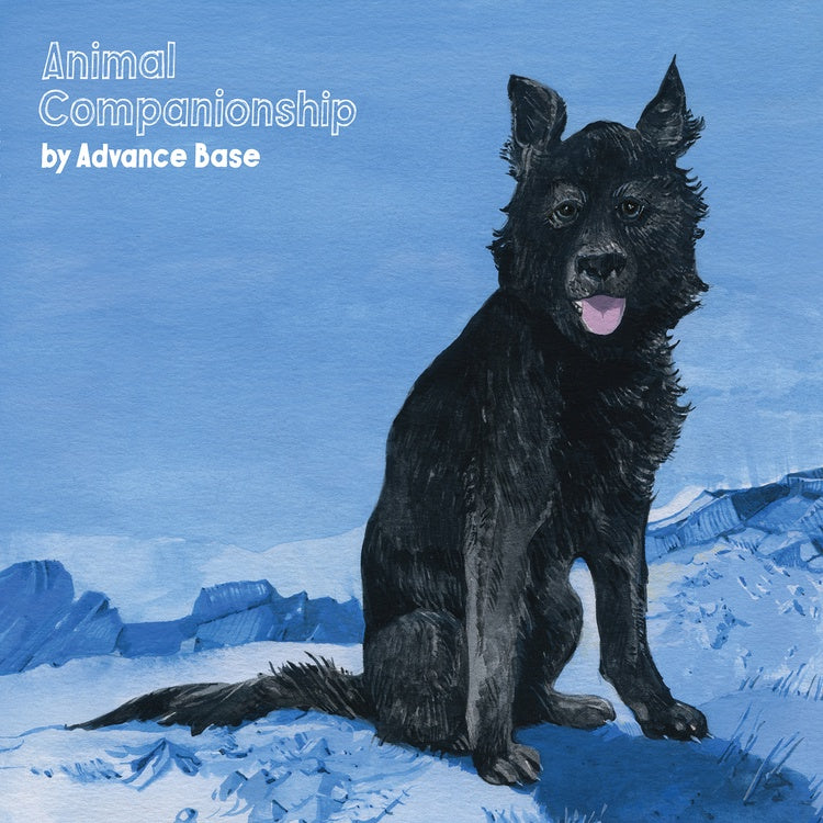 Advance Base ‎– Animal Companionship - New Lp 2018 Run For Cover USA Vinyl - Indie Rock