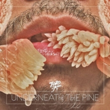 Toro Y Moi - Underneath the Pine - New LP Record 2011 Carpark Vinyl & Download - Indie Pop / Chillwave