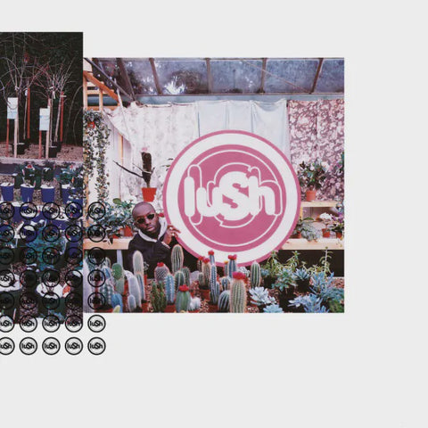 Lush – Lovelife (1996) - New LP Record 2023 4AD UK Black Vinyl - Alternative Rock / Britpop