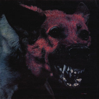 Protomartyr - Under Color of Official Right - New Lp Record 2014 USA Vinyl & Book & Download - Post-Punk / Noise Rock