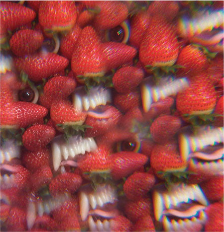 Thee Oh Sees - Floating Coffin - New LP Record 2013 Castle Face Vinyl - Psychedelic Rock / Garage Rock