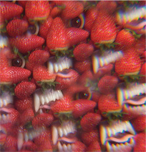 Thee Oh Sees - Floating Coffin - New LP Record 2013 Castle Face Vinyl - Psychedelic Rock / Garage Rock